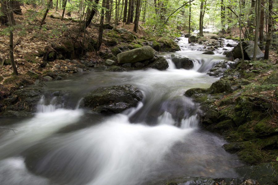 Creek, stream, joki, metsä, vesi, puut, lehdet, kiviä