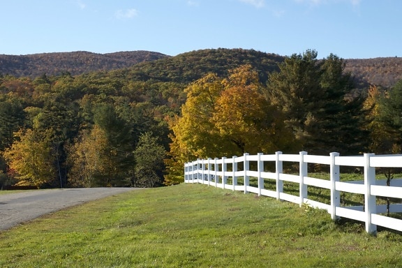 白い木製フェンス、道路、緑の草