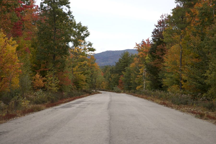 国の道路、林道、秋の季節、木