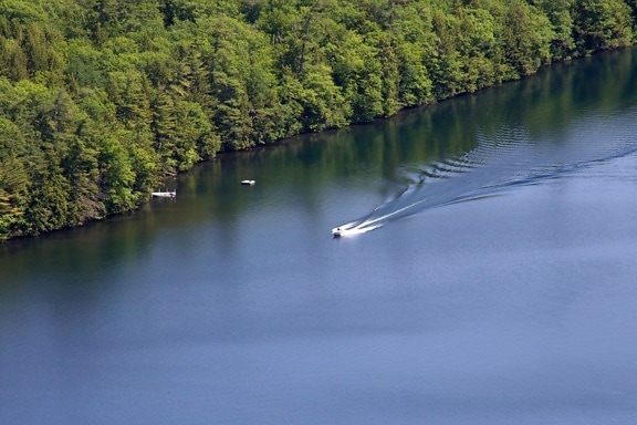 barca sul fiume, distanza, acqua, lago, alberi, estate