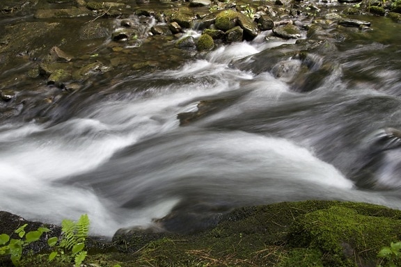snelle rivier met water van de kreek, natuur, water, rotsen
