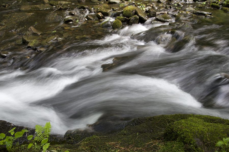 快速的河, 小河水, 自然, 水, 岩石