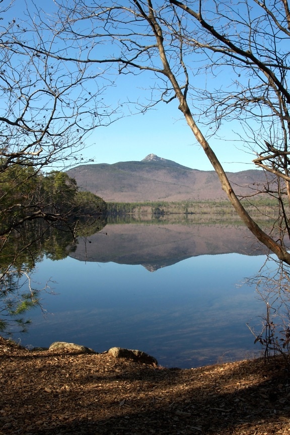 reflexo de água do lago, montanhas, lago, água, árvores