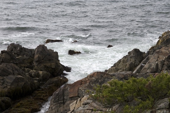 Costa, com vista para o mar, praia rochosa, oceano, água, rochas