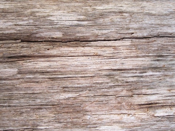 Free picture: artificial, wood, grain, texture