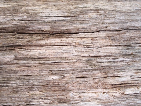 licht bruin hout, oude, patroon, houtstructuur