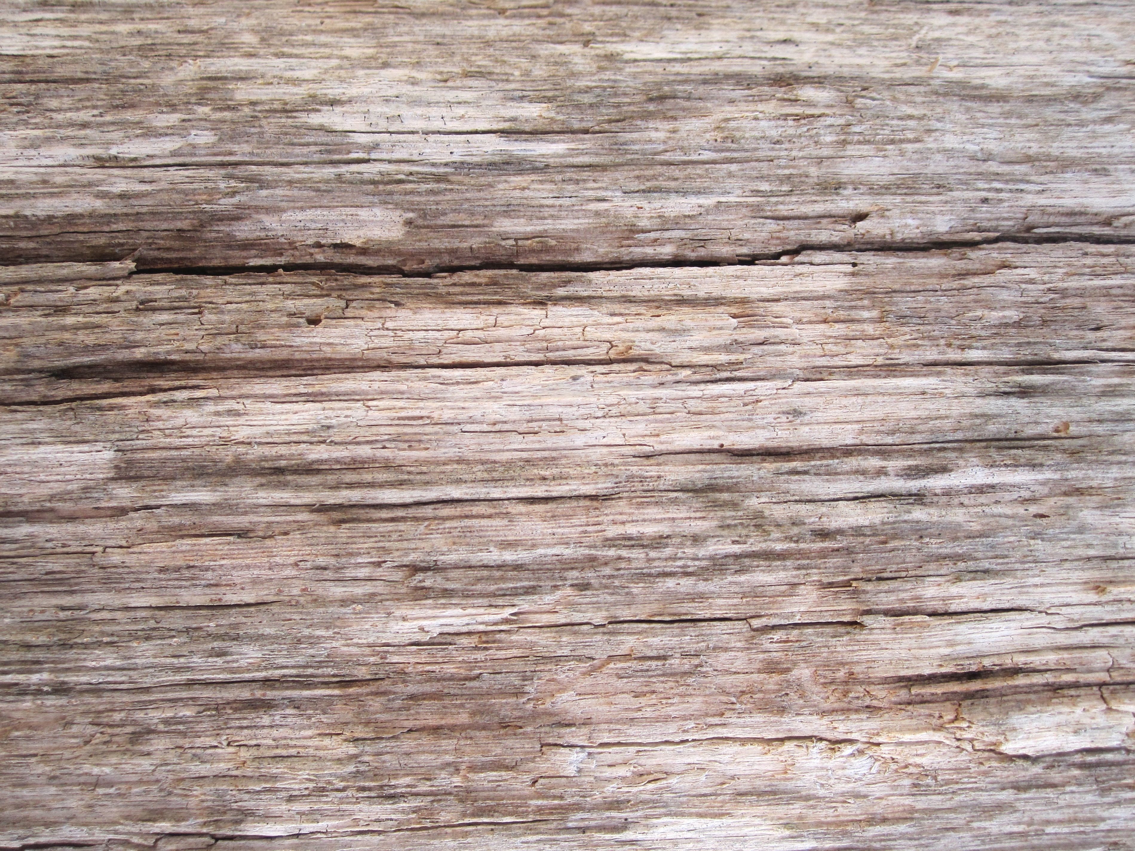 Free picture: light brown wood, old, pattern, wood, texture