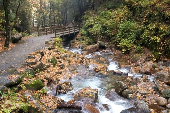 jarné vody, creek, chodník, prúd, voda, skaly, listy, lístie, jeseň