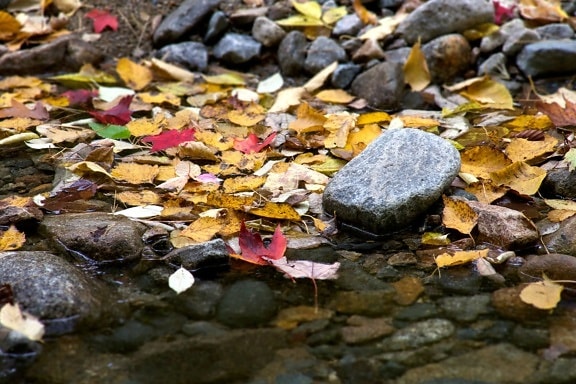 rybník, jezero, podzim, listoví, listy, skály, voda