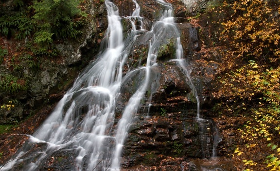 creek water, river, waterfall, water, leaves, fall, foliage
