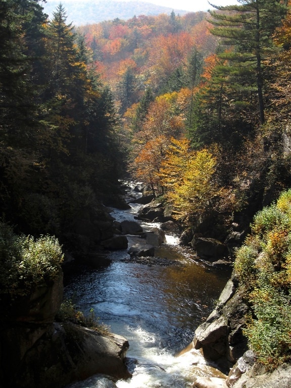 small waterfall, stream, water, rocks, trees, foliage, fall