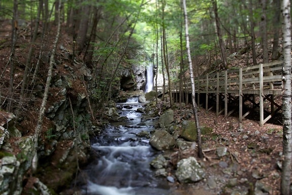 Creek, nationaal park, houten brug