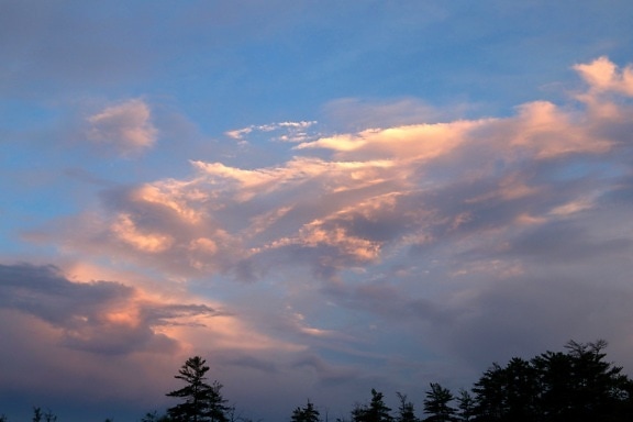 Dawn, moln, sky, träd