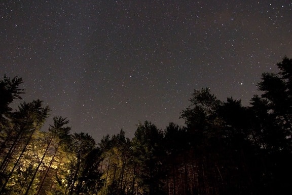 paisaje de la medianoche, la noche escénico, estrellas, noche, árboles