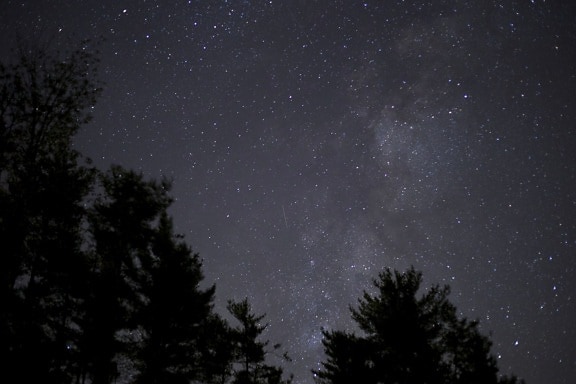 noche, estrellas, vía láctea, árboles