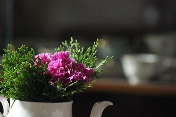 keramická konvice na čaj, květy, květ