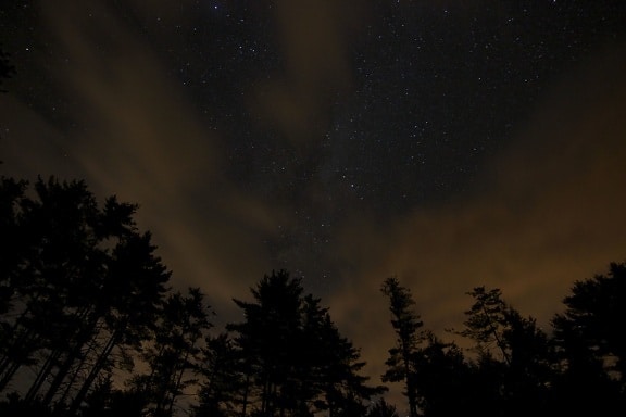night landscape, stars, night, trees, clouds
