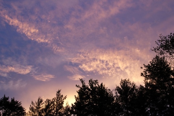 púrpura cielo, nubes, paisaje, puesta del sol, nubes, árboles