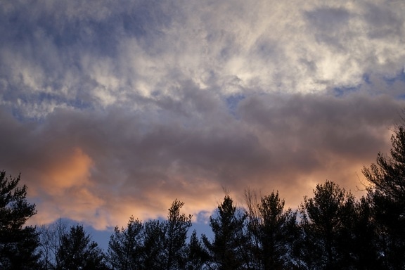 oranžové mraky, barevné nebe, západ slunce, oblaka, stromy