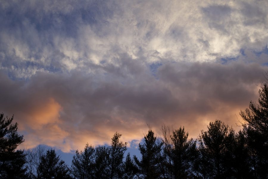 pomarańczowe chmury, kolorowe niebo, zachód słońca, chmury, drzewa