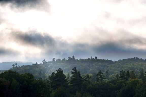 cloud, gray fog, nature, landscape, fog, trees, mountains, sky, clouds