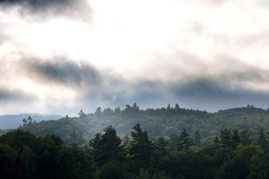 クラウド、灰色の霧、自然、風景、霧、木、山、空、雲