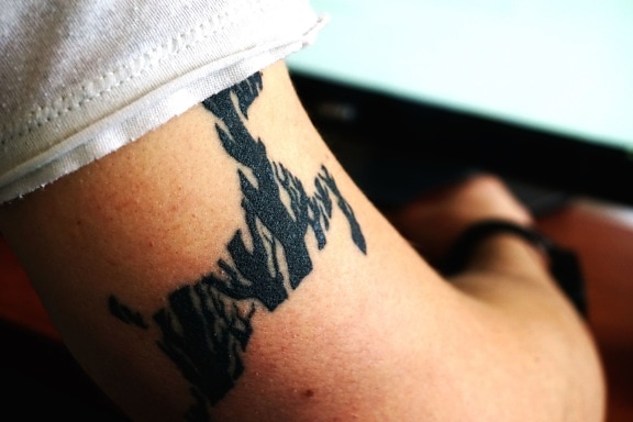 tatuaje, brazo, cuerpo, tinta, moda