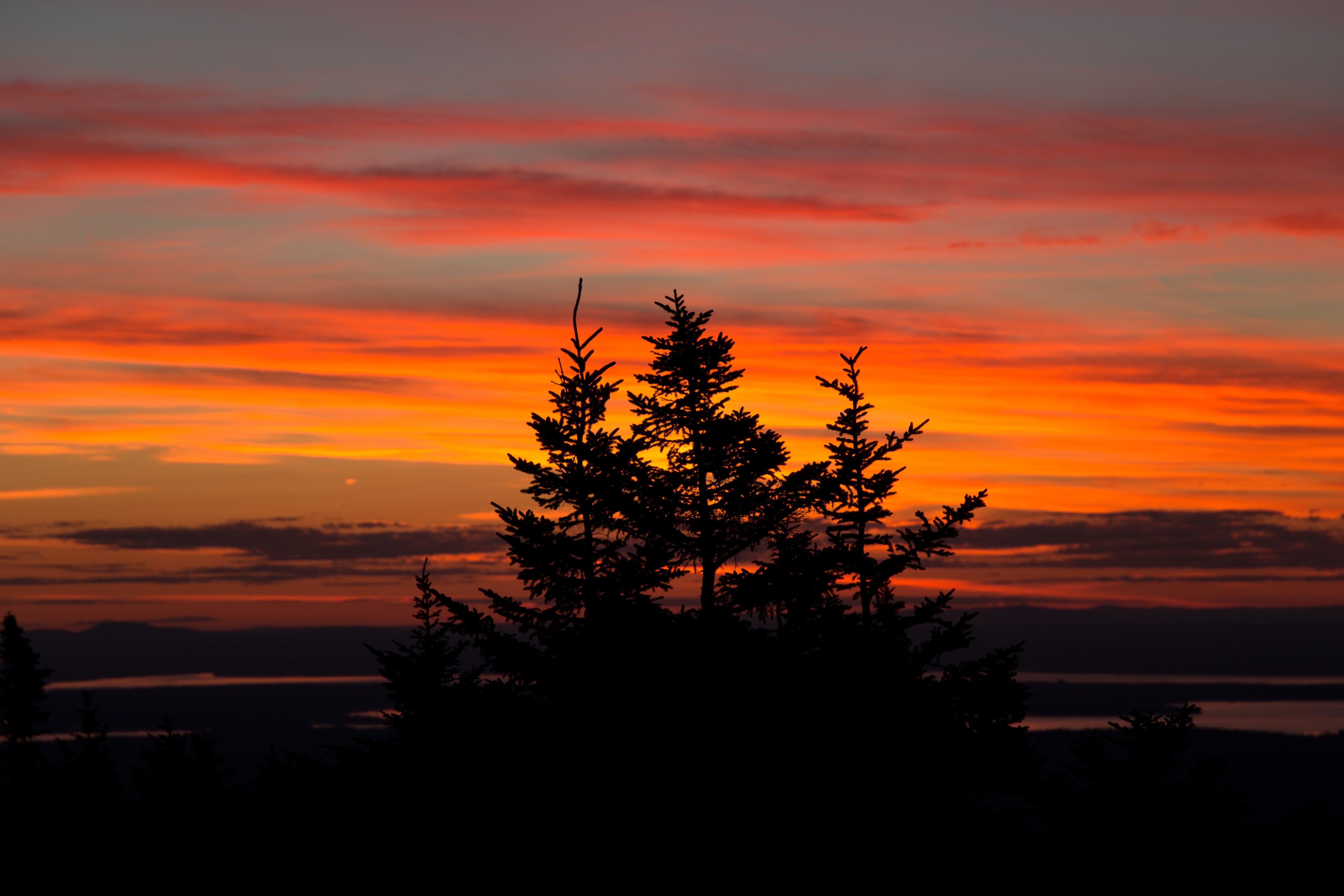 フリー写真画像 オレンジ色の空 オレンジ色の雲 夜 夕暮れ 風景 夕日 空 雲 木