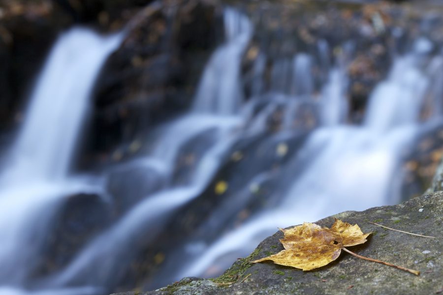 kamen, žuti list, lišća, vode, potoka, lišće, jesen, stijene