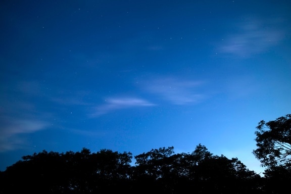 cerul albastru închis, cer senin, amurg, stele, nori, copaci, noapte