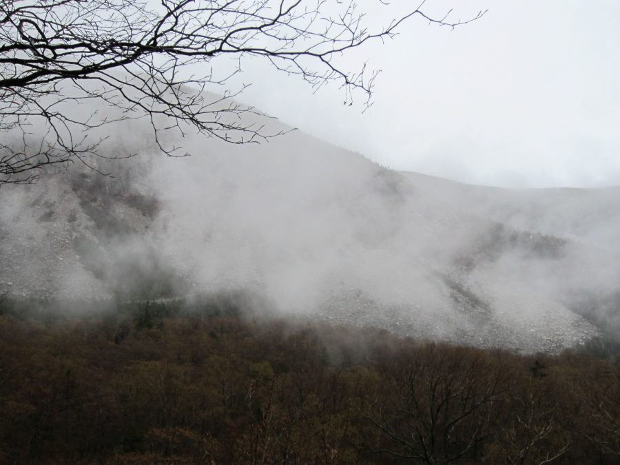 fogy morgen, vinteren, sne, trail, vandreture