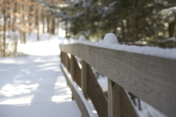 wooden fence, winter, snow, trail, hiking