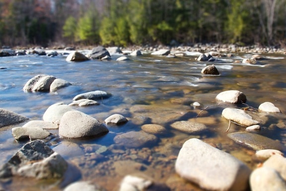 pietre di fiume, riva, costa fiume, fiumi, rocce, alberi, estate