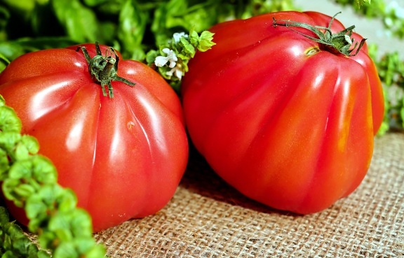 tomate, piment, légumes, poivron, piment doux, nourriture, végétarien