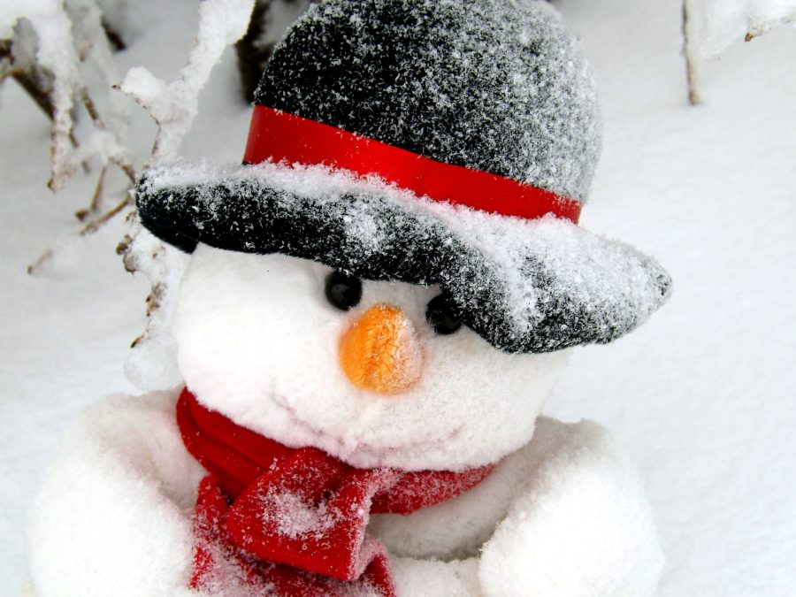 snjegović, lice, crni šešir, snijeg