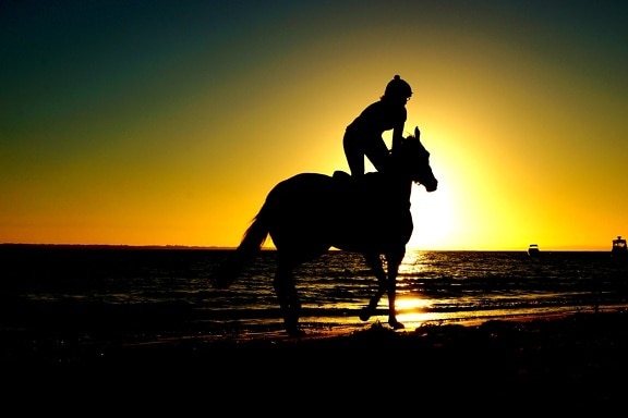 person, riding horse, sunset