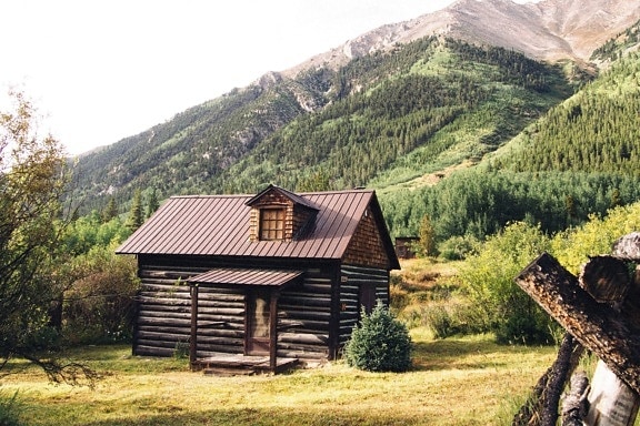 wooden house, green grass, trees, mountain