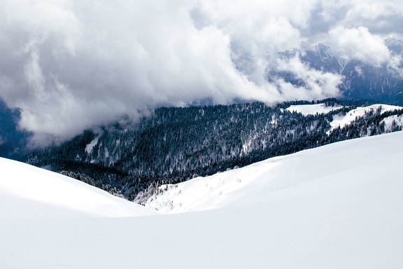 clouds, snow, trees, winter, reezing, mountains