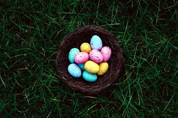 colored easter eggs, nest