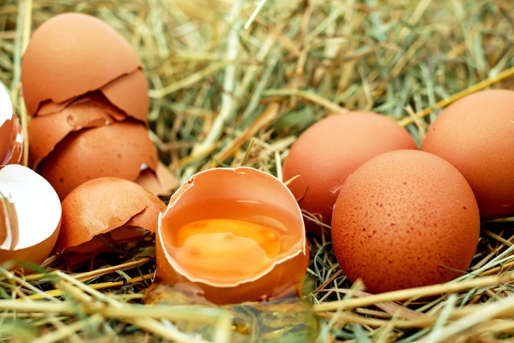 αυγά κότας, ραγισμένο αυγό