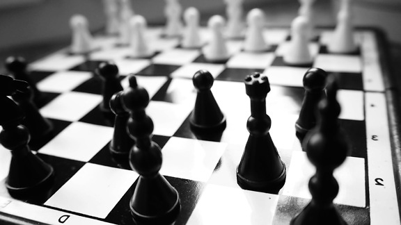 игра в шахматы, пешка, королева, стратегический Совет, задача