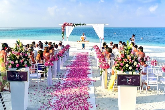 seaside, wedding, roses, walkway