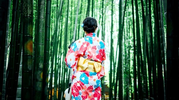 kvinder, kimono, Japan