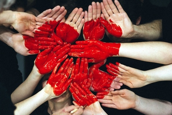 mani umane, cuore rosso