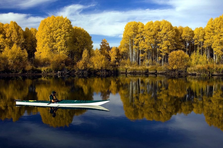 lac, kayakiste, paysage, automne
