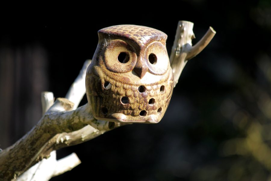 wooden owl, toy