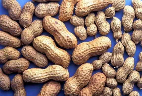 peanuts, shells