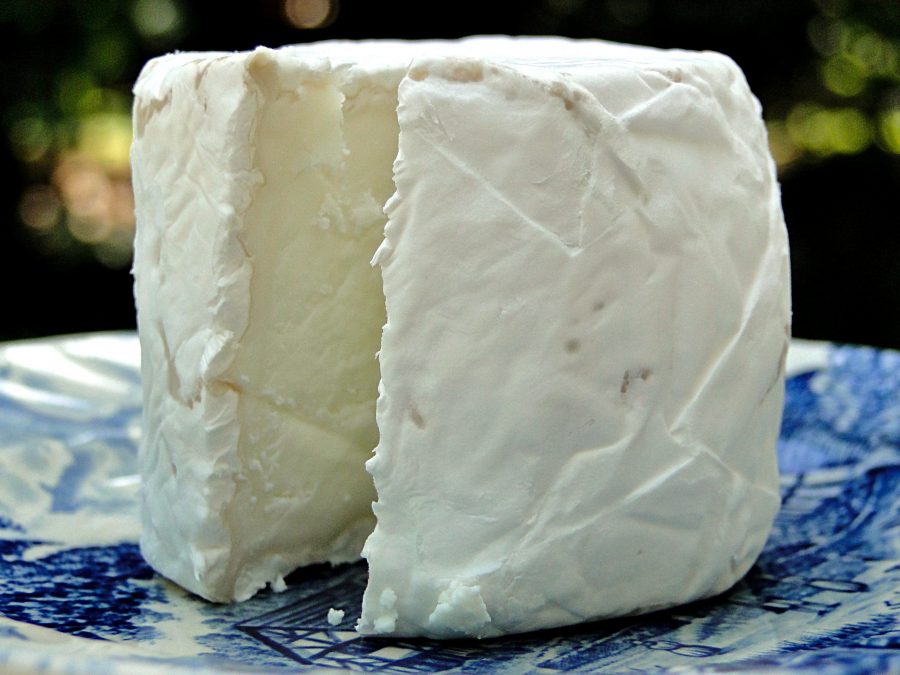 čerstvý kozí sýr