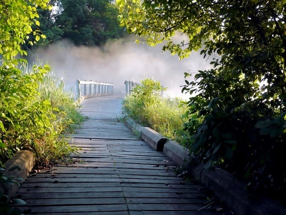 brouillard, pont en bois, passerelle