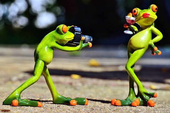 figurines, frogs, funny photograph